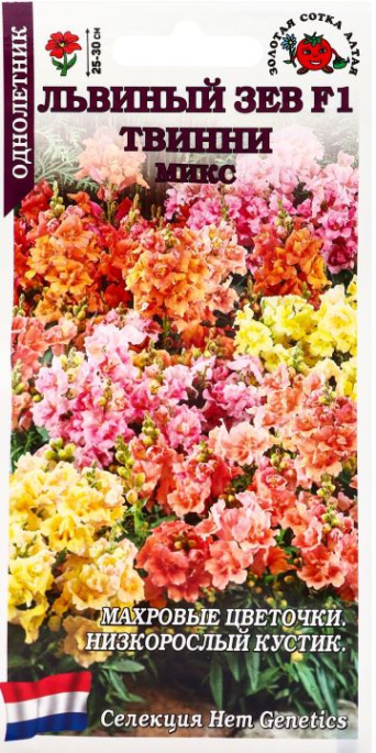 Семена львиный зев Твинни микс, Золотая Сотка: фото