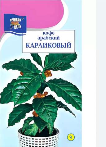 Семена кофе арабский Карликовый, Урожай удачи: фото