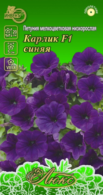 Петуния Карлик F1 синяя, ИНВЕНТ+: фото