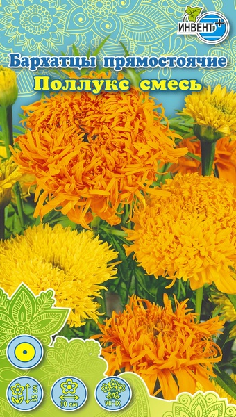 Бархатцы прямостоячие Поллукс смесь, ИНВЕНТ+: фото