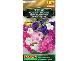 Семена петуния Комнатная F1 крупноцветковая, смесь, Аэлита: фото