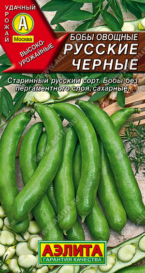 Семена бобы овощные Русские Черные, Аэлита: фото