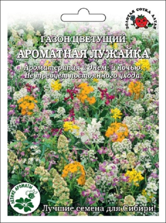 Семена газон цветущий Ароматная Лужайка, Золотая Сотка: фото