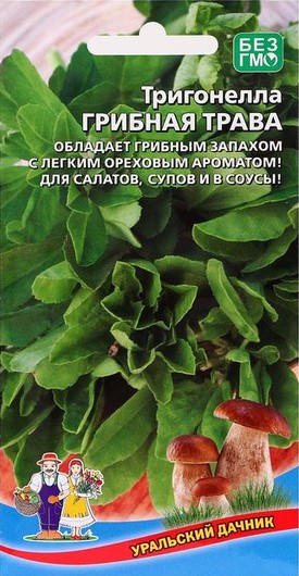 Семена тригонелла Грибная трава, Уральский Дачник: фото