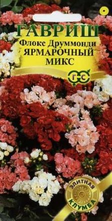 Семена флокс друммонда Ярмарочный микс, Гавриш: фото