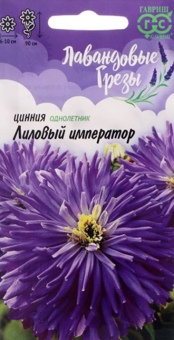 Семена цинния Лиловый Император, Гавриш: фото