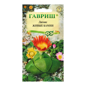 Семена литопс Живые Камни, Гавриш: фото