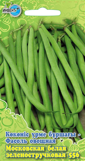 Фасоль Московская белая ИНВЕНТ+: фото