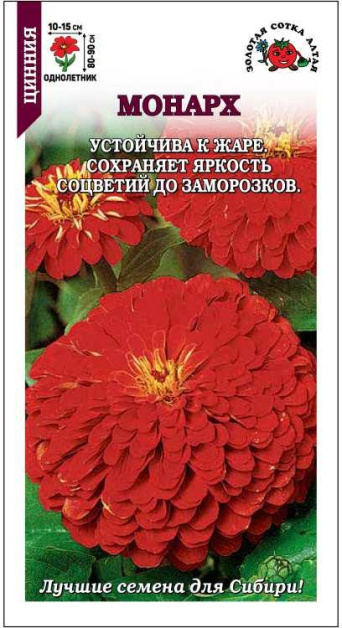 Семена цинния Монарх, Золотая Сотка: фото