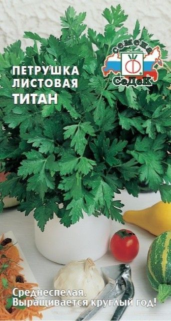 Семена петрушка листовая Титан, Седек: фото
