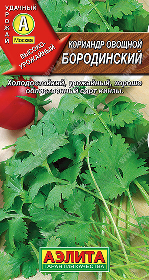 Семена кориандр овощной Бородинский, Аэлита: фото
