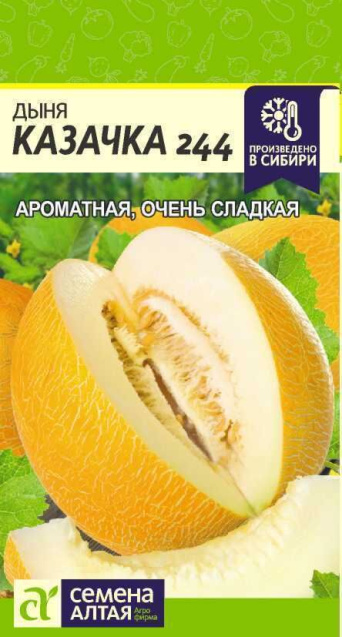 Семена дыня Казачка 244, Семена Алтая: фото