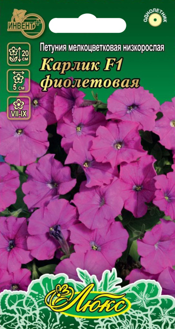 Петуния Карлик F1 фиолетовая  (серия ЛЮКС) ИНВЕНТ+: фото