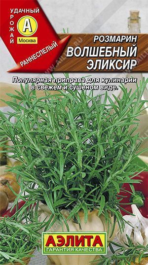 Семена розмарин Волшебный Эликсир, Аэлита: фото