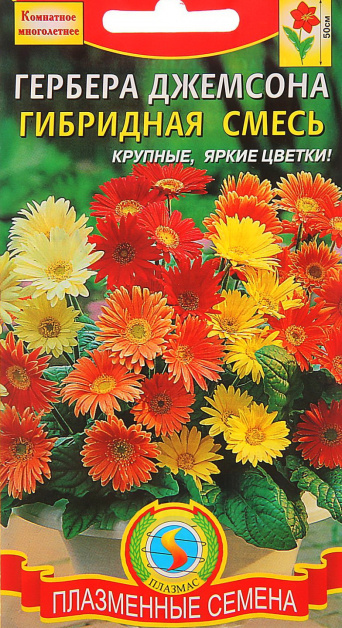 Семена гербера джемсона Гибридная Смесь, Плазмас: фото