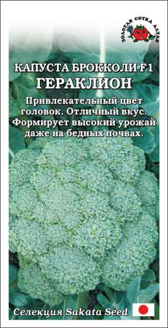 Семена капуста брокколи Гераклион F1, Золотая Сотка: фото