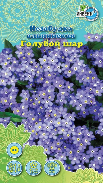 Незабудка Голубой Шар, ИНВЕНТ+: фото