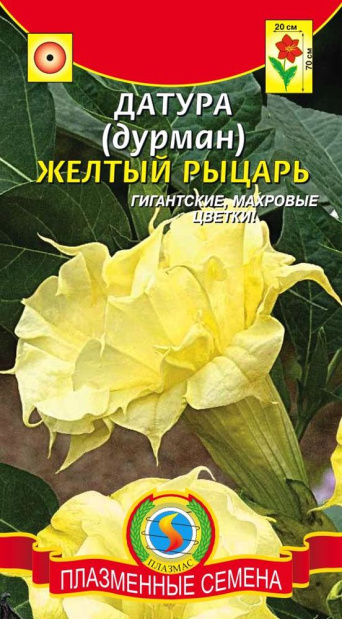 Семена датура (дурман) Желтый Рыцарь, Плазмас: фото