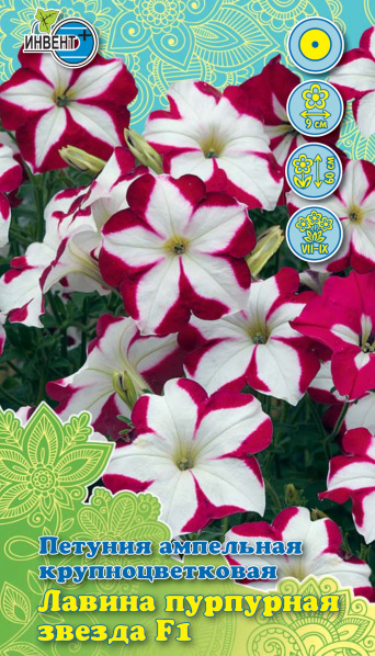 Петуния ампельная Лавина F1 пурпурная звезда, ИНВЕНТ+: фото