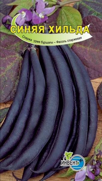 Фасоль спаржевая Синяя Хильда ИНВЕНТ+: фото