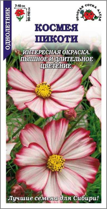 Семена космея Пикоти, Золотая сотка: фото