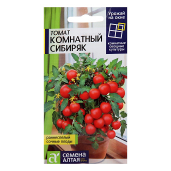 Семена томат Комнатный Сибиряк, Семена Алтая: фото