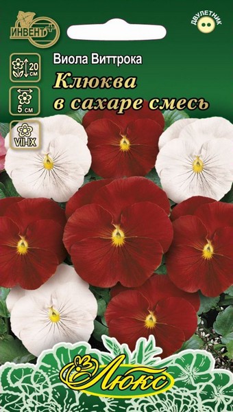 Виола виттрока Клюква В Сахаре смесь (серия ЛЮКС), ИНВЕНТ+: фото