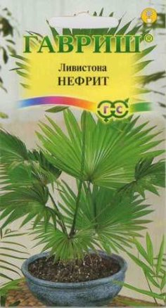 Семена ливистона китайская Нефрит, Гавриш: фото