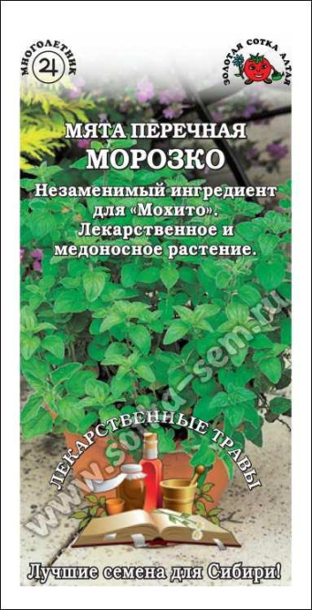 Семена мята Морозко, Золотая Сотка: фото