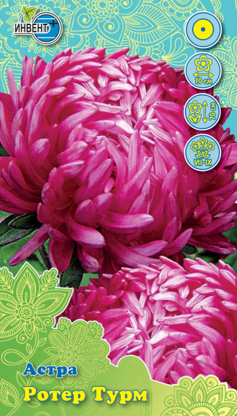 Астра Ротер Турм, ИНВЕНТ+: фото