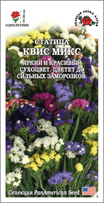 Семена статица Квис Микс, Золотая Сотка: фото