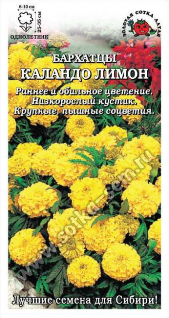 Семена бархатцы Каландо Лимон, Золотая Сотка: фото