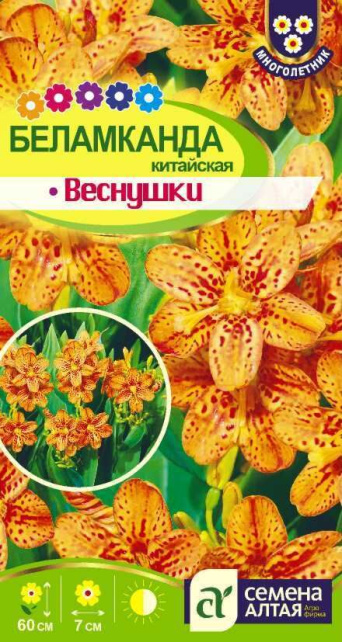 Семена беламканда Веснушки китайская, Семена Алтая: фото