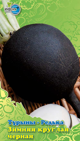 Редька Зимняя Круглая Черная, ИНВЕНТ+: фото