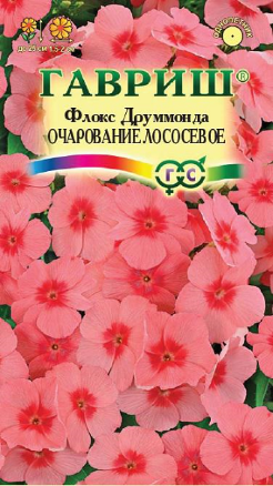 Семена флокс друммонда Очарование лососевое, Гавриш: фото