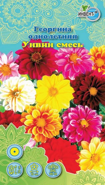 Георгина однолетняя Унвин смесь, ИНВЕНТ+: фото