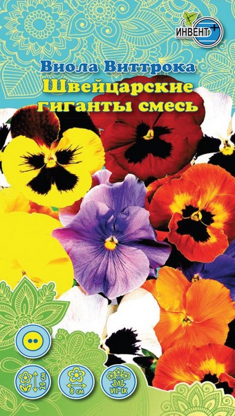 Виола виттрока Швейцарские Гиганты смесь, ИНВЕНТ+: фото