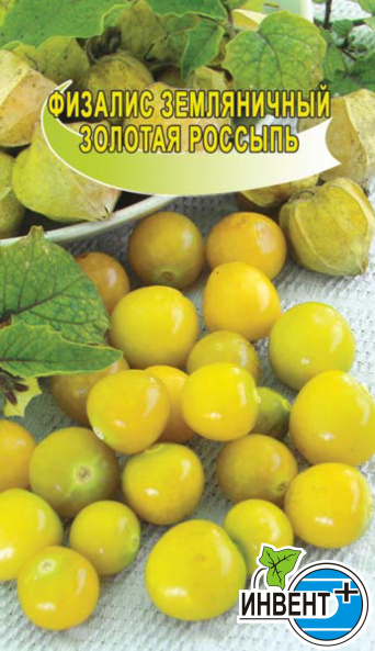 Физалис земляничный Золотая Россыпь, ИНВЕНТ+: фото