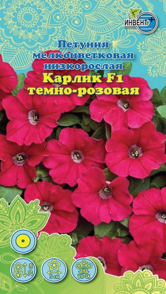 Петуния Карлик F1 темно-розовая ИНВЕНТ+: фото