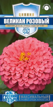 Семена цинния Великан розовый, Гавриш: фото