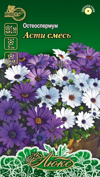 Остеоспермум Асти смесь (серия ЛЮКС), ИНВЕНТ+: фото