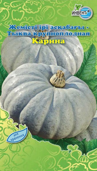 Тыква Карина ИНВЕНТ+: фото