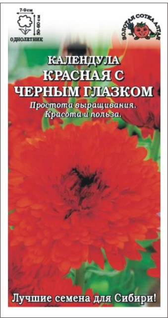 Семена календула Красная с чёрным глазком, Золотая сотка: фото