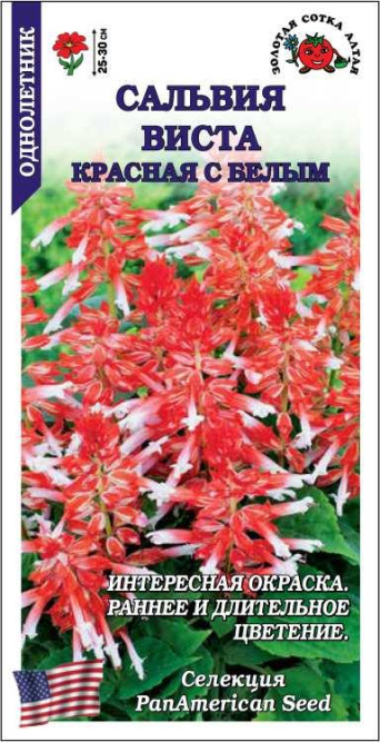 Семена сальвия Виста красная с белым, Золотая Сотка: фото