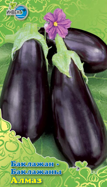 Баклажан Алмаз, ИНВЕНТ+: фото