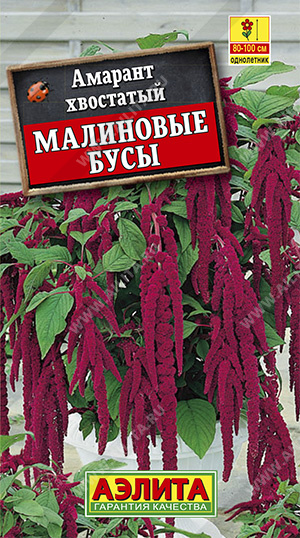 Семена амарант хвостатый Малиновые Бусы, Аэлита: фото
