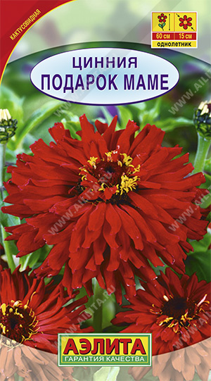 Семена цинния Подарок Маме, Аэлита: фото