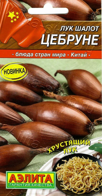 Семена лук шалот Цебруне, Аэлита: фото