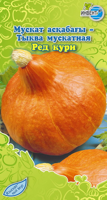 Тыква мускатная Ред Кури, ИНВЕНТ+: фото