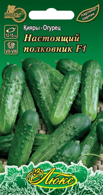 Огурец Настоящий Полковник F1 (серия ЛЮКС), ИНВЕНТ+: фото